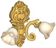 Farmhouse Double-Headed Flower Wall Lamp