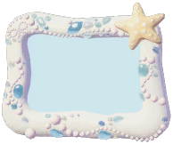 Seashell Display Photo Frame