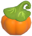 Orange Grimkin Pumpkin