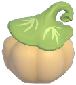 White Grimkin Pumpkin