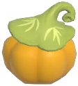 Yellow Grimkin Pumpkin