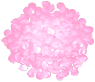 Large Rose Petal Pile