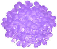 Large Rose Petal Pile