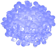 Large Rose Petal Pile