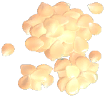 Small Rose Petal Pile