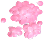 Small Rose Petal Pile