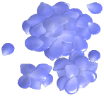 Small Rose Petal Pile
