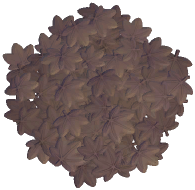 Eerie Maple Rug
