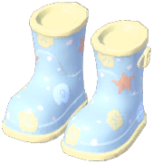 Beach Rain Boots