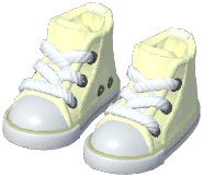 Canvas Shoes
