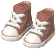 Canvas Shoes