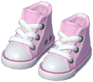 Canvas Shoes