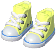 Canvas Shoes