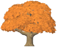 Topiary Maple