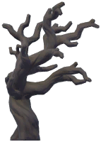 Eerie Twisted Dead Tree