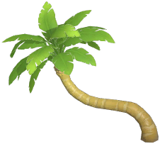 Twisted Coconut Tree