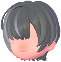 Delicate Bangs Short Hair