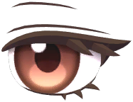 Graceful Willow Leaf Eyes