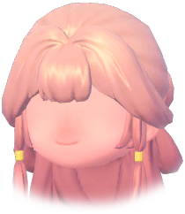 Long Hair w/ Two Buns