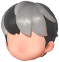 Casual Short Hair (Highlights)