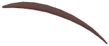 Thin Droopy Eyebrows