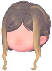 Graceful Blossom Side Bun