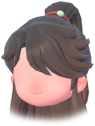 Half-Up Ponytail