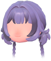 Wolf-Cut Half-Braided Buns