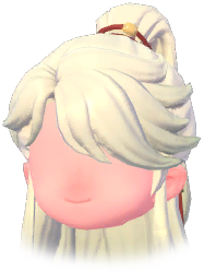 Half-Up Ponytail