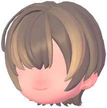 Delicate Bangs Short Hair