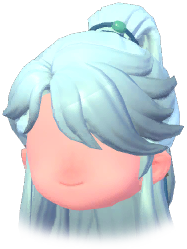 Half-Up Ponytail