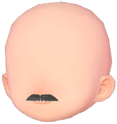 Neat Handlebar Mustache