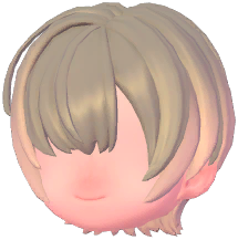 Delicate Bangs Short Hair